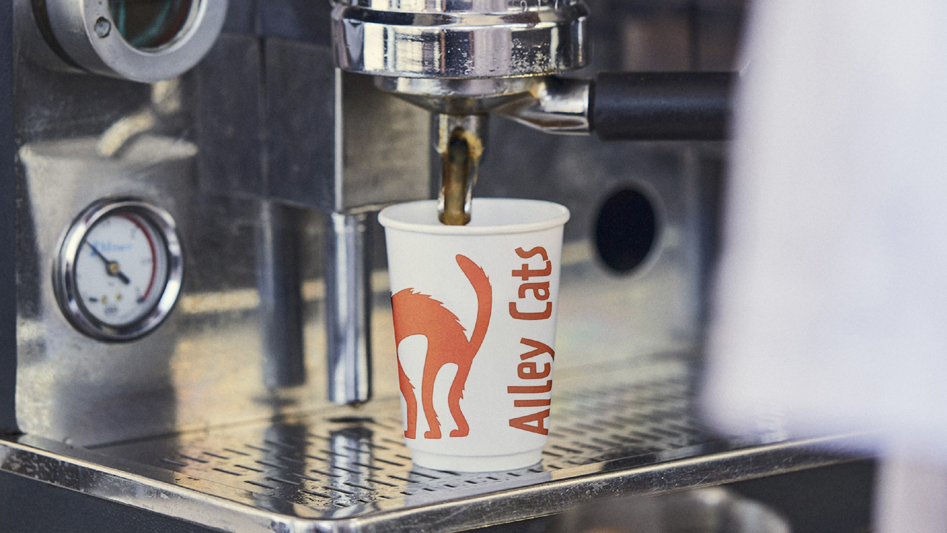logo of alley cats printed on a paper cup that's sat under an espresso machine